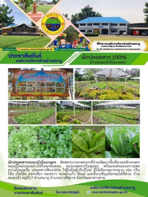 ผักปลอดสารหนองบัวถิ่นเกษตร คัดสดๆจากเกษตรกรที่ร่วมพัฒนาพื้นที่ตามหลักเกษตรทฤษฎีใหม่ปลูกอย่างใส่ใจทุกขั้นตอน ของเกษตรกรในชุมชน