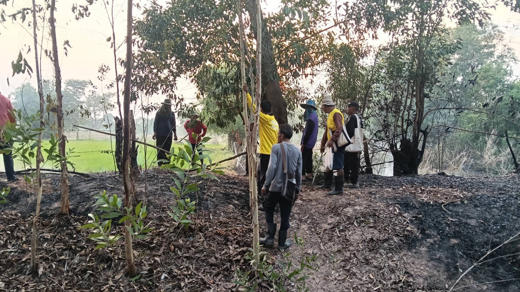 326096889 1236233933686392 8834859114771170507 n